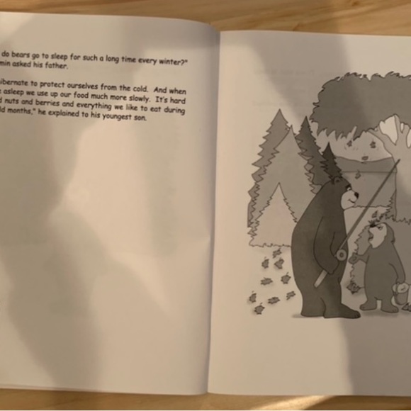 The bear who lost his sleep- a story about worrying too much! Children’s book - Picture 4 of 9